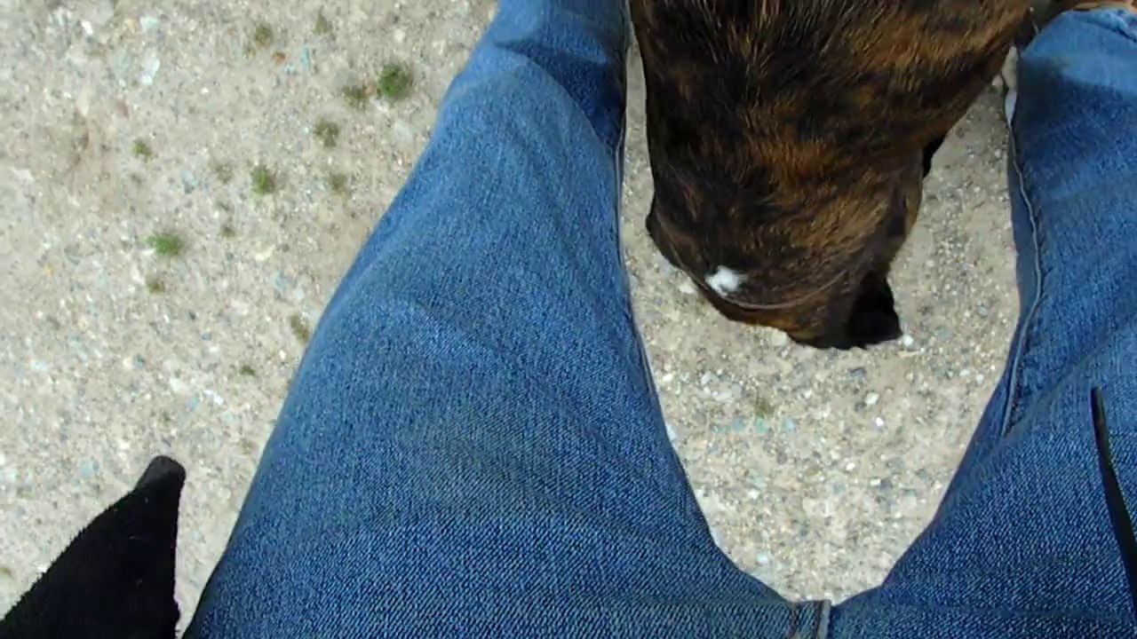 Elliot NOUVEAU jeu 2