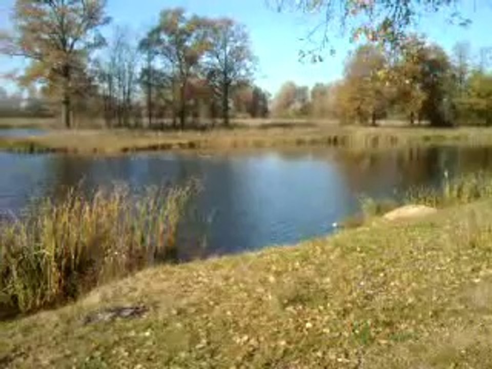 SPALONA