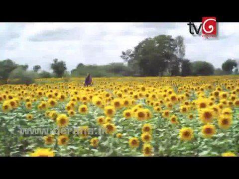 Sri Gauthama Sambuddha 11