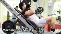 Machine Hack Squats gánh đùi với máy đúng kỹ thuật thể hình fitness