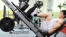 Legs Press Đạp đùi đúng kỹ thuật thể hình tập chân mông đùi hiệu quả