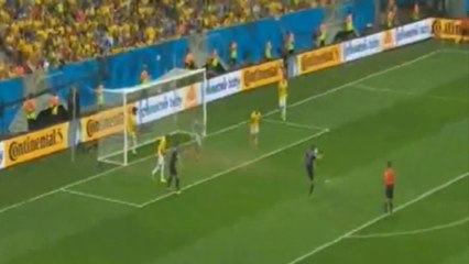 هدف هولندا الثاني في البرازيل