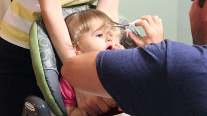 Ember's First Haircut - July 12th 2014