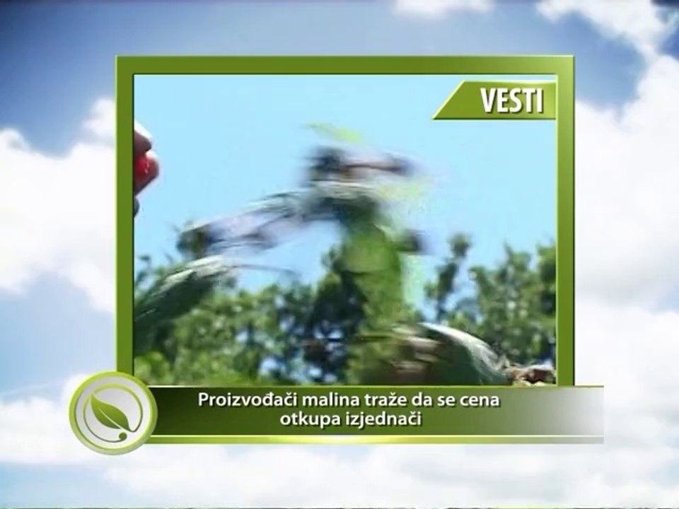 Vesti - Proizvođači malina traže da se cena malina izjednači_355_05.07.2014.