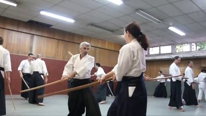 Aikido- Bruno GONZALEZ and Pascal GUILLEMIN