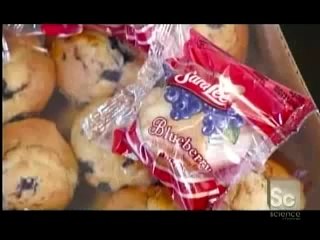 Food Factory Muffins