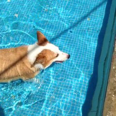 Sunday poolside! Tun Mun!