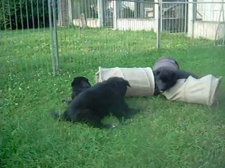 12 juillet 2014 (3) : 5.5 semaines