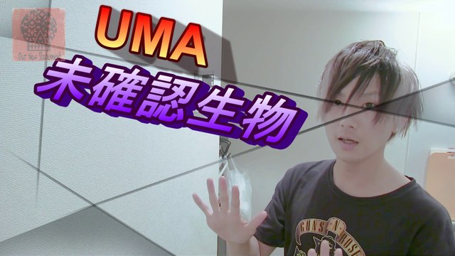 【 未確認生物 】 深夜の 浅草 でシャドーマンを探す Shadow People in Asakusa Senso-ji Temple(Tokyo) UMA