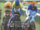 【競馬】　ディープインパクト　全レースダイジェスト