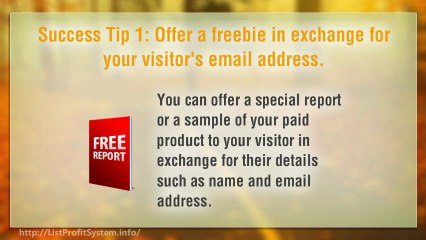 Landing Page Success Tips