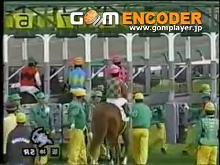 ディープインパクト 新馬戦 レース