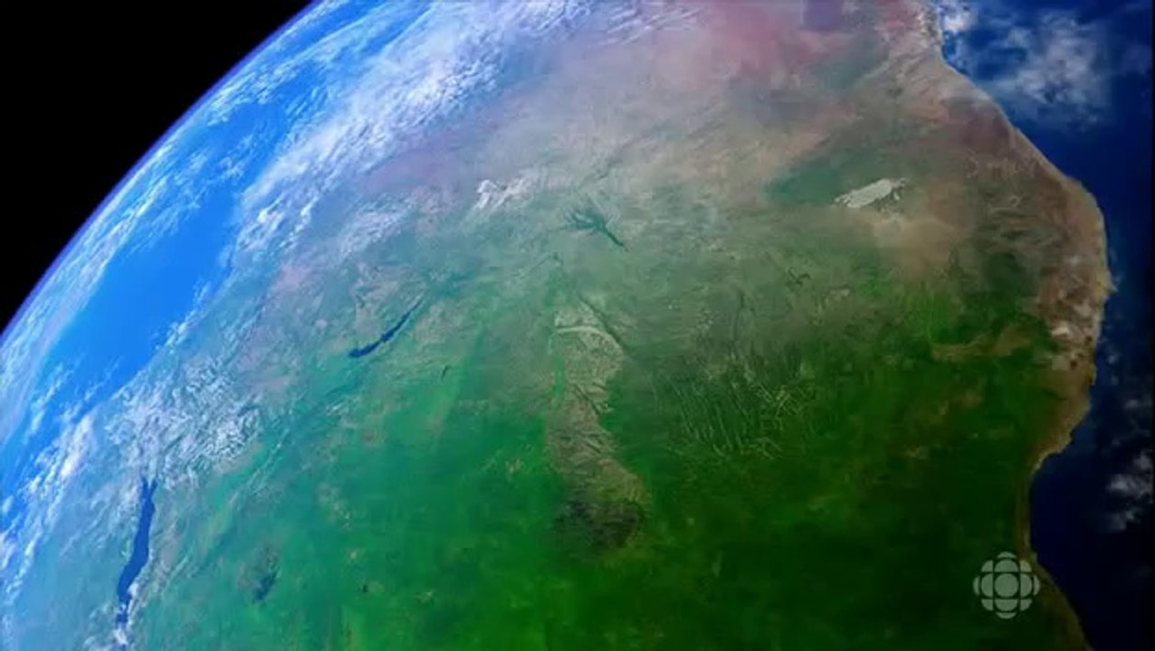 Découverte - Comment Faire Pousser une Planète