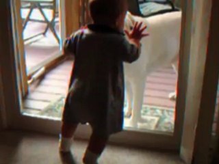 Cute Dogs And Adorable Babies Compilation