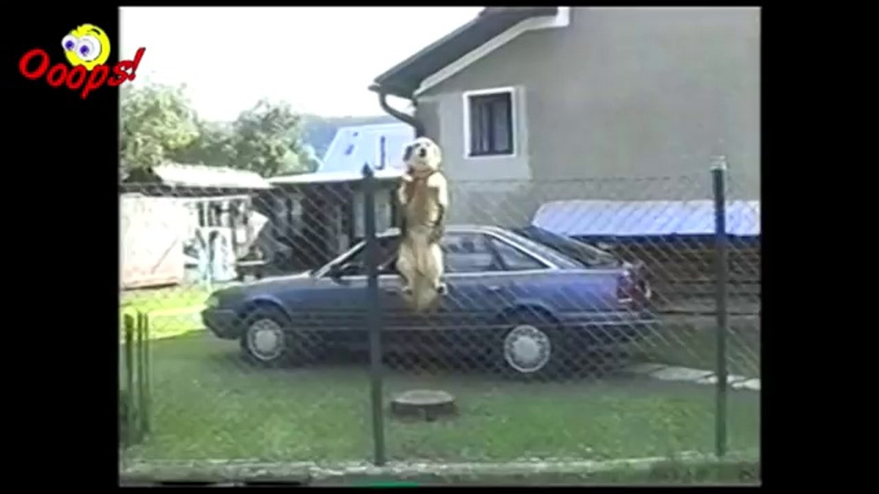 Pranks - Gags - Win - Fail.107