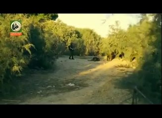 كتائب القسام تبث فديوا  قناص غزة بانتظاركم  ...