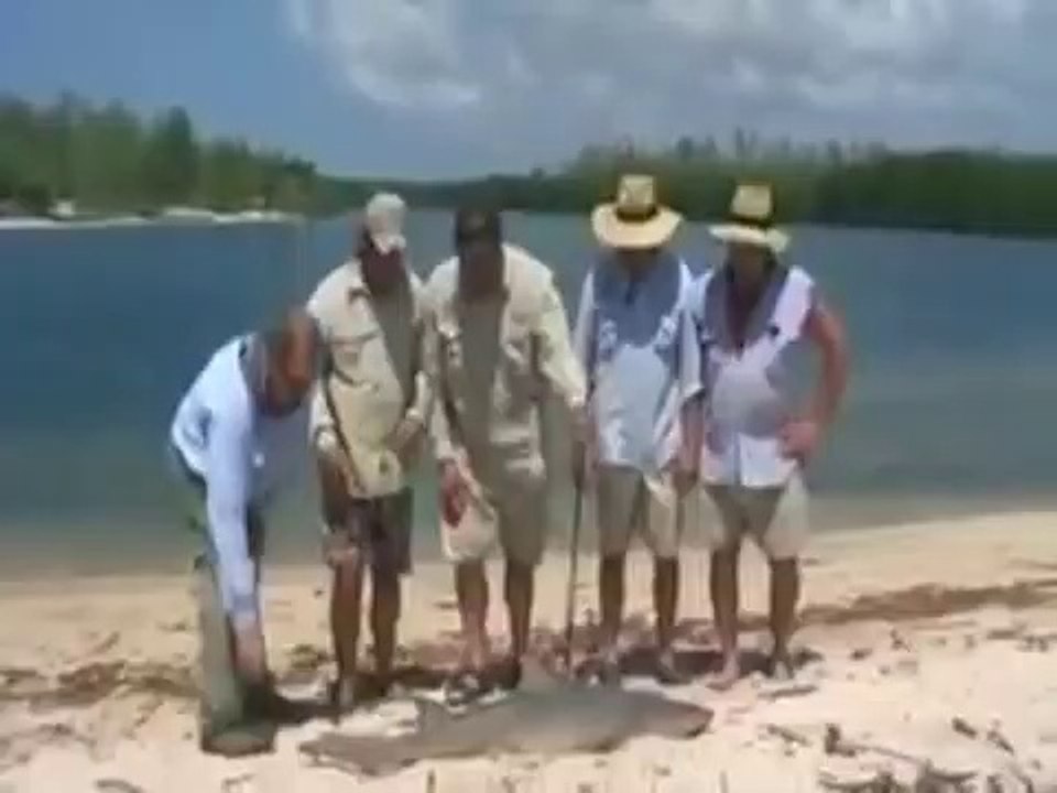 Worlds Amazing Scene Man Vs. Shark Vs Crocodile