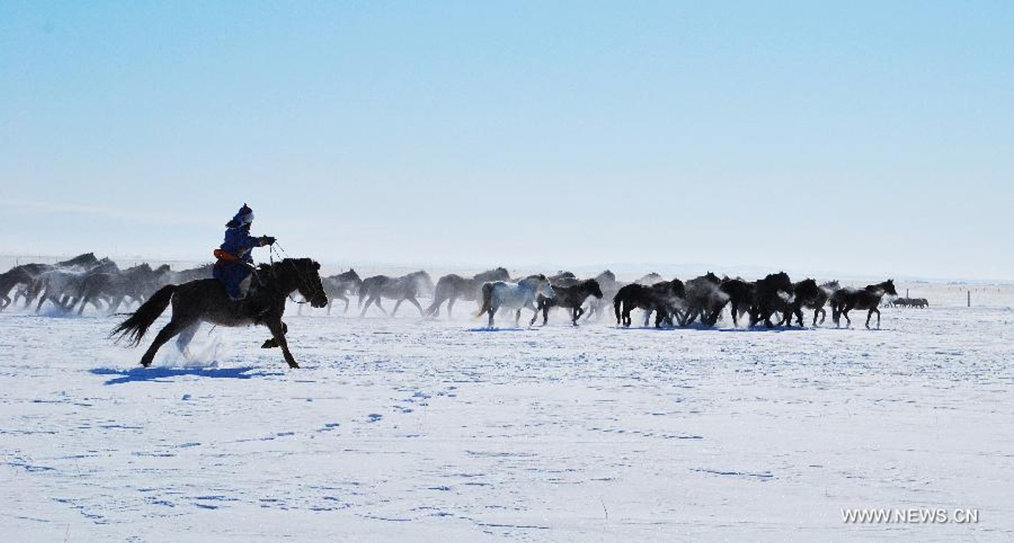 ⁣Sibirya | Yabani Yakut Atları