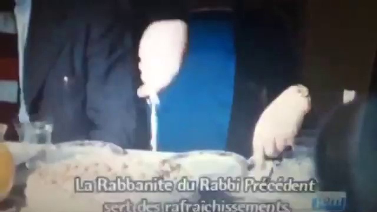 Arrivée du rabbi précédent au usa
