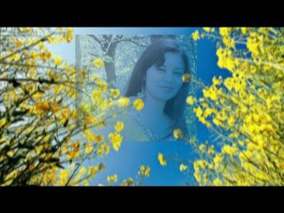 Very Heart Touching Urdu, Hindi Poetry | Asma Chaudhry