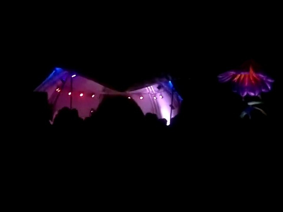 Psyberpunk - La Fiestaval - Sainte Croix - Swiss 2014