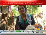 Undercover (Poverty Mafia Exposed) – 13th July 2014