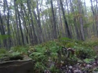 100% Real Bigfoot Footage