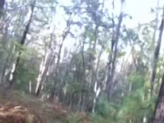 New, Real Bigfoot Footage