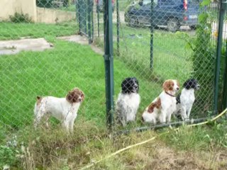 PIAFS ET AUTRES JUILLET 2014