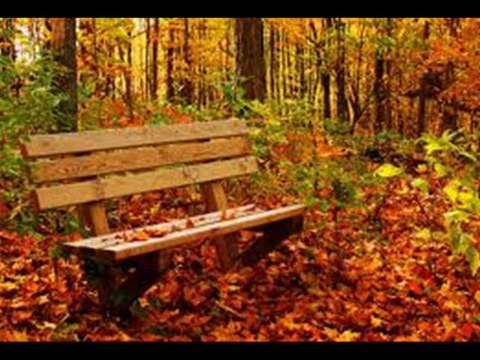 YILDIZ DEMİRKOL SAVAŞ-yıldızlıtürküler-BÜLBÜL NE ÖTERSİN VİRANDIR BAĞIN