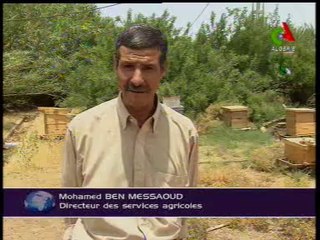 Algerie,Laghouat,apiculteurs