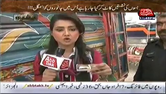 Khufia – 13th July 2014