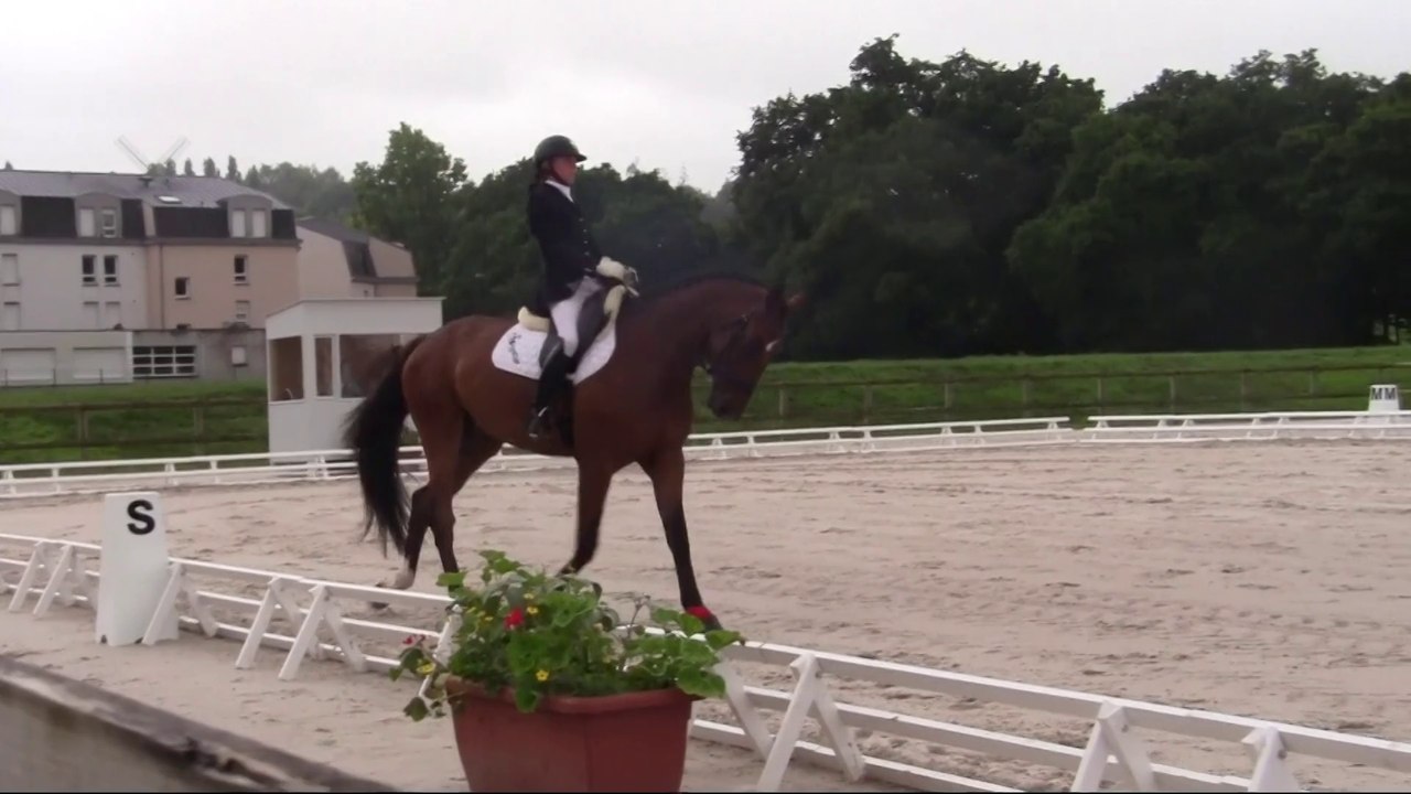 Amstrong lamballe