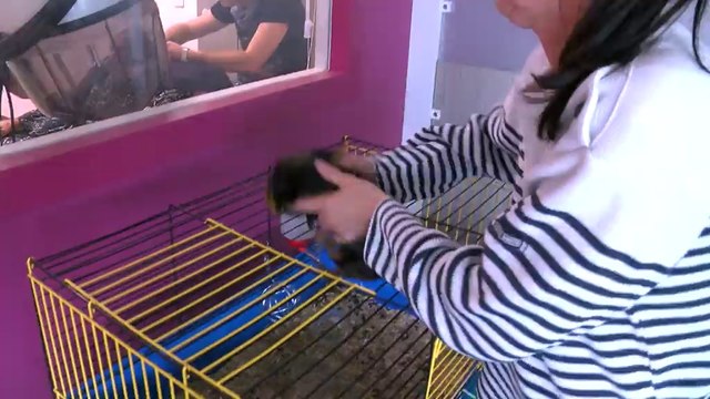 EHPAD du Mas Rome avec les animaux de la ferme