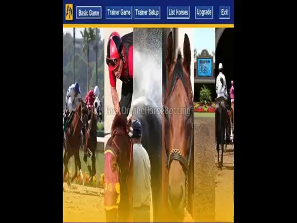 expert sports betting picks  horse race betting
