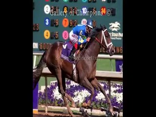 explain sports betting  horse race betting
