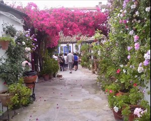 Córdoba de mis amores