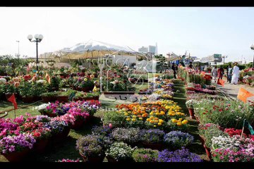 27-02-2014 HSP Flower Show 2014