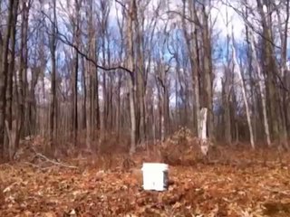 REAL BIGFOOT FOOTAGE FROM CALIFORNIA