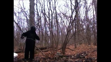 REAL BIGFOOT FOOTAGE FROM FLORIDA