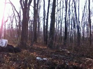 REAL BIGFOOT FOOTAGE FROM VIRGINIA