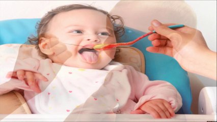 Lambie & Me eBook With Yummy Recipes For Toddlers- Out Now!