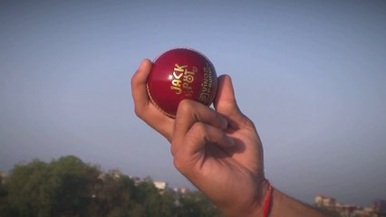 Worldcup Cricket Fever, Ahmedabad (India)