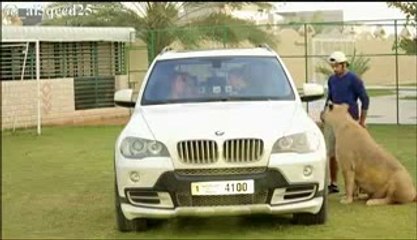 برنامج المقالب الكنج وصل - الحلقة 15- عبير عيسى