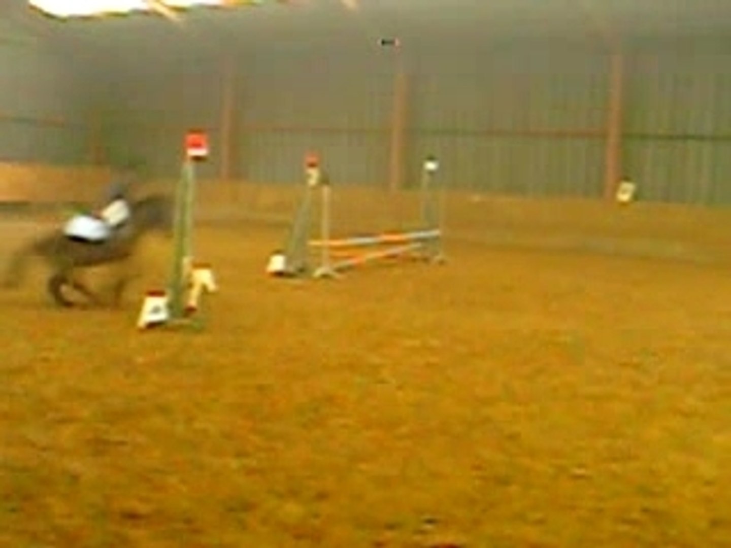 Océane & Java [Concours]