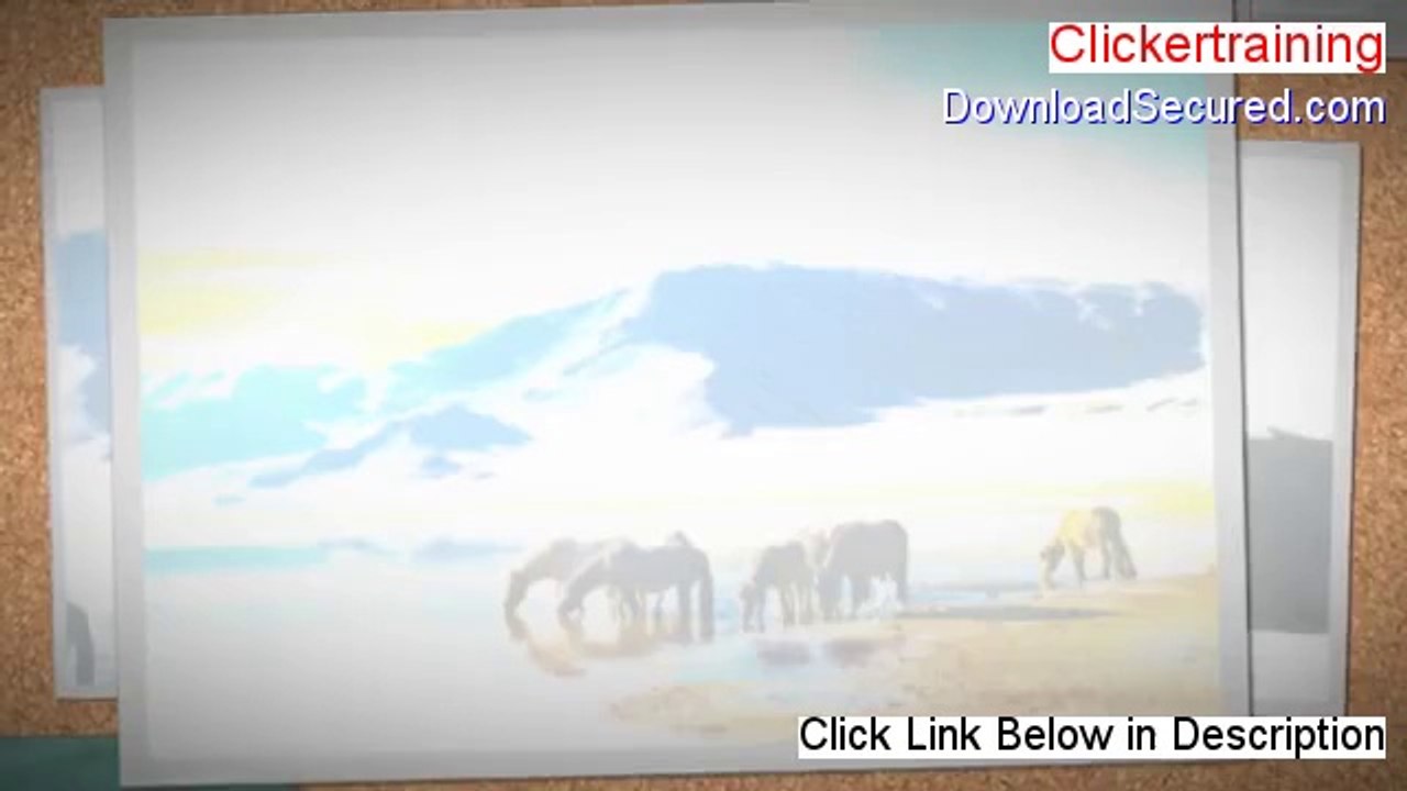 Clickertraining Download PDF - clicker training rats