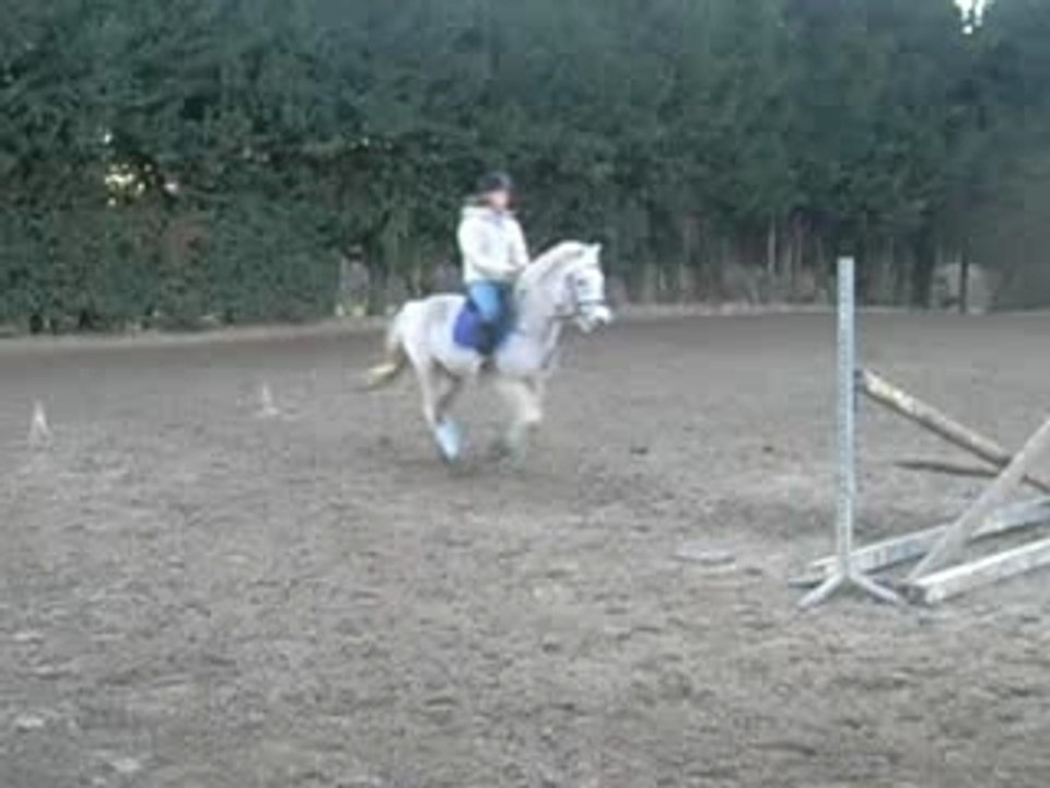mOii & enzO