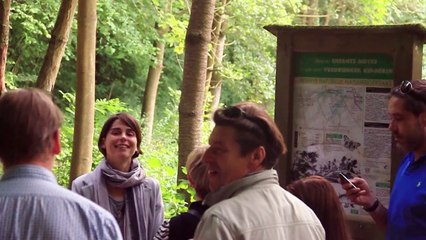 Team buidling Gemotions à la forêt de Soignes