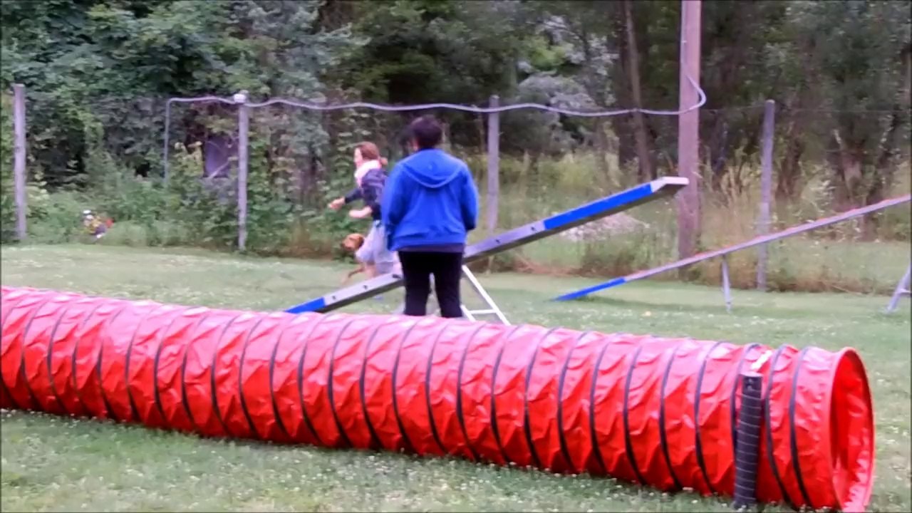 Agility 09 july 2014