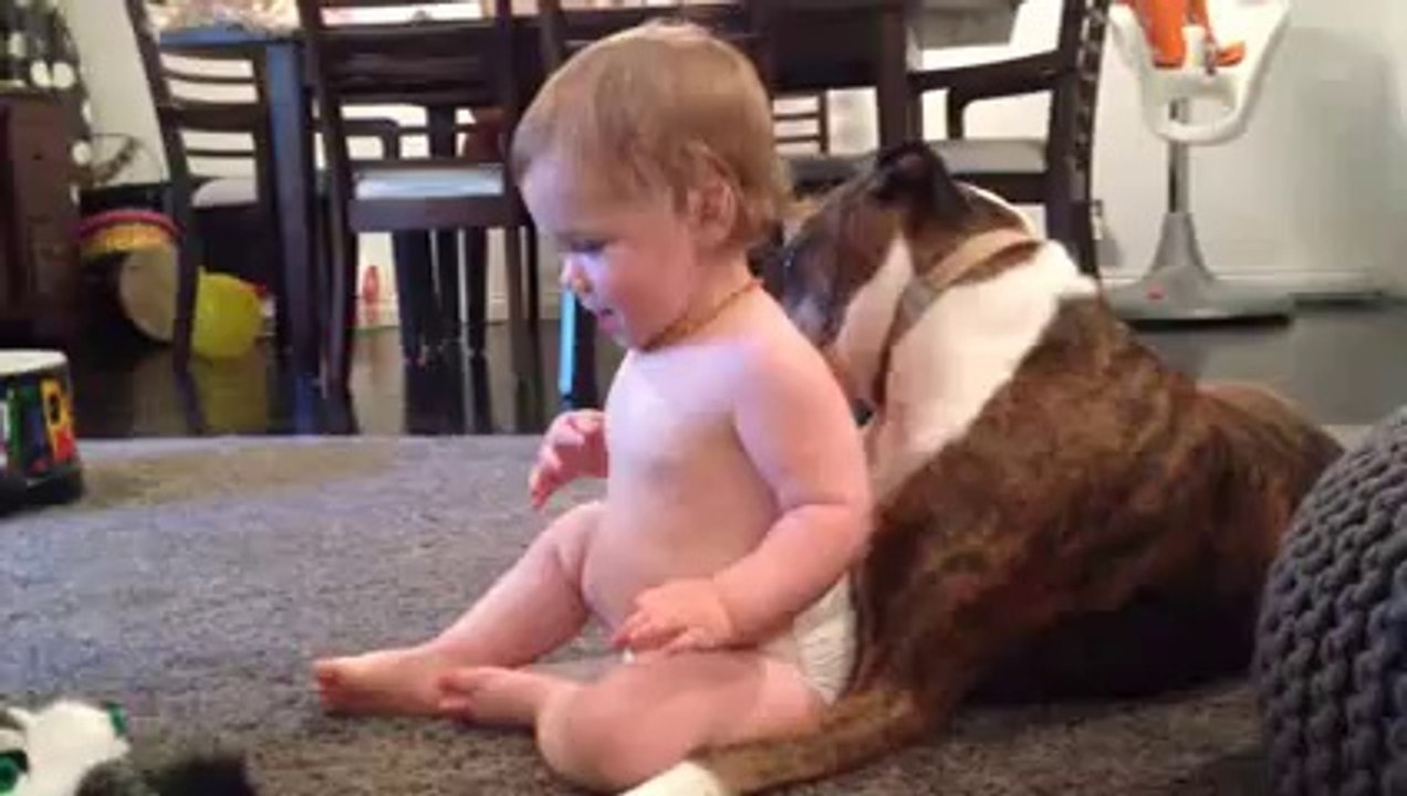 Quand le chien fait la toilette à bébé